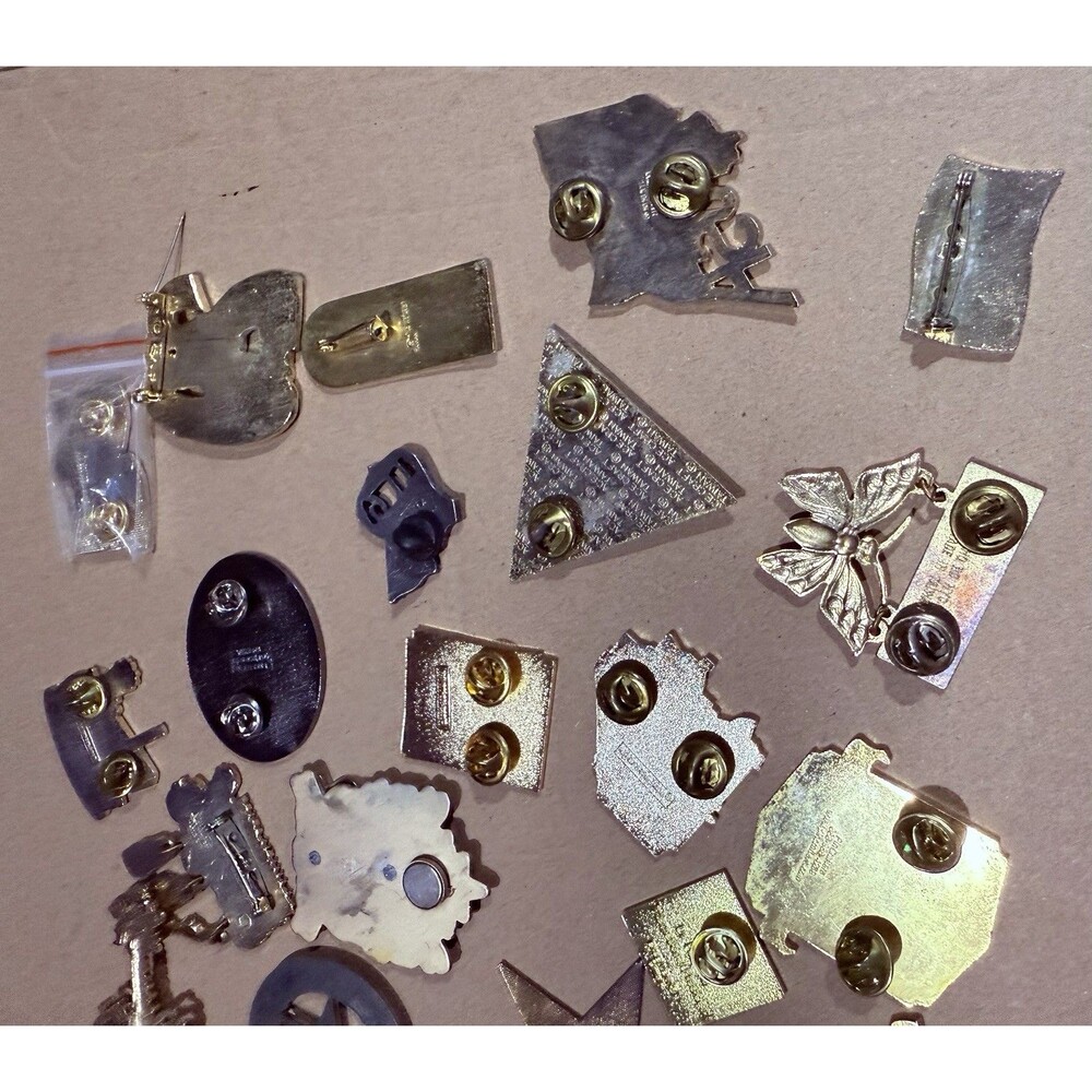 Lot 22 LIONS CLUB INTERNATIONAL Pins Various Locations Including Australia - Picture 10 of 10